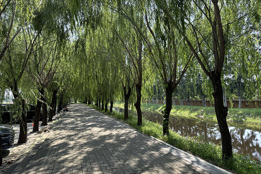 天津兰生园公墓环境绿化的意义是什么? 天津兰生园公墓环境绿化的意义是什么?